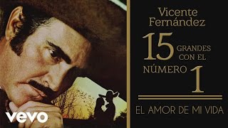 Vicente Fernández  El Amor de Mi Vida Tema Remasterizado Cover Audio [upl. by Herculie]