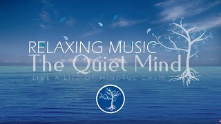 Relaxing Music for Sleep  10 Minute Meditation Music  Sleep Music [upl. by Dinerman]