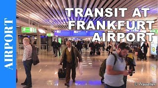 TRANSIT WALK AT FRANKFURT Airport FRA Terminal 1  Connection Flight Transfer Arriving amp Departing [upl. by Berghoff]