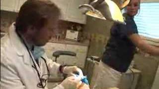 Root Canal Retreatment Demonstration [upl. by Paterson]