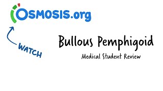 Bullous Pemphigoid Osmosis Study Video [upl. by Ttenrag]