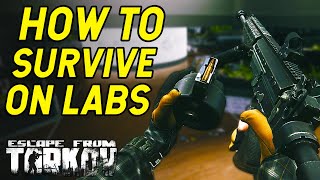 How To Survive On Labs  Escape From Tarkov Advanced Map Guide [upl. by Alyam642]