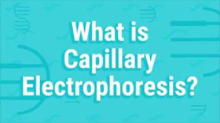 What Is Capillary Electrophoresis [upl. by Remled520]