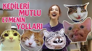 Kedinizi Mutlu Etmenin 10 Kolay Yolu [upl. by Ylloj]