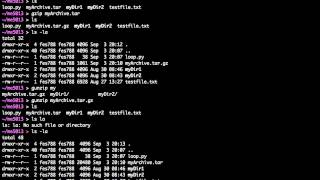 Basic UNIX Commands  Archiving [upl. by Aynas]